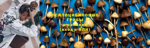 марки lsd Волосово