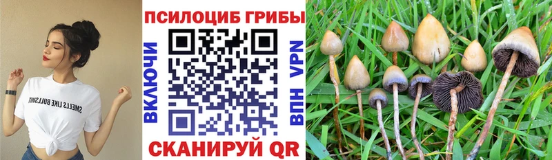 Галлюциногенные грибы MAGIC MUSHROOMS  Оха 